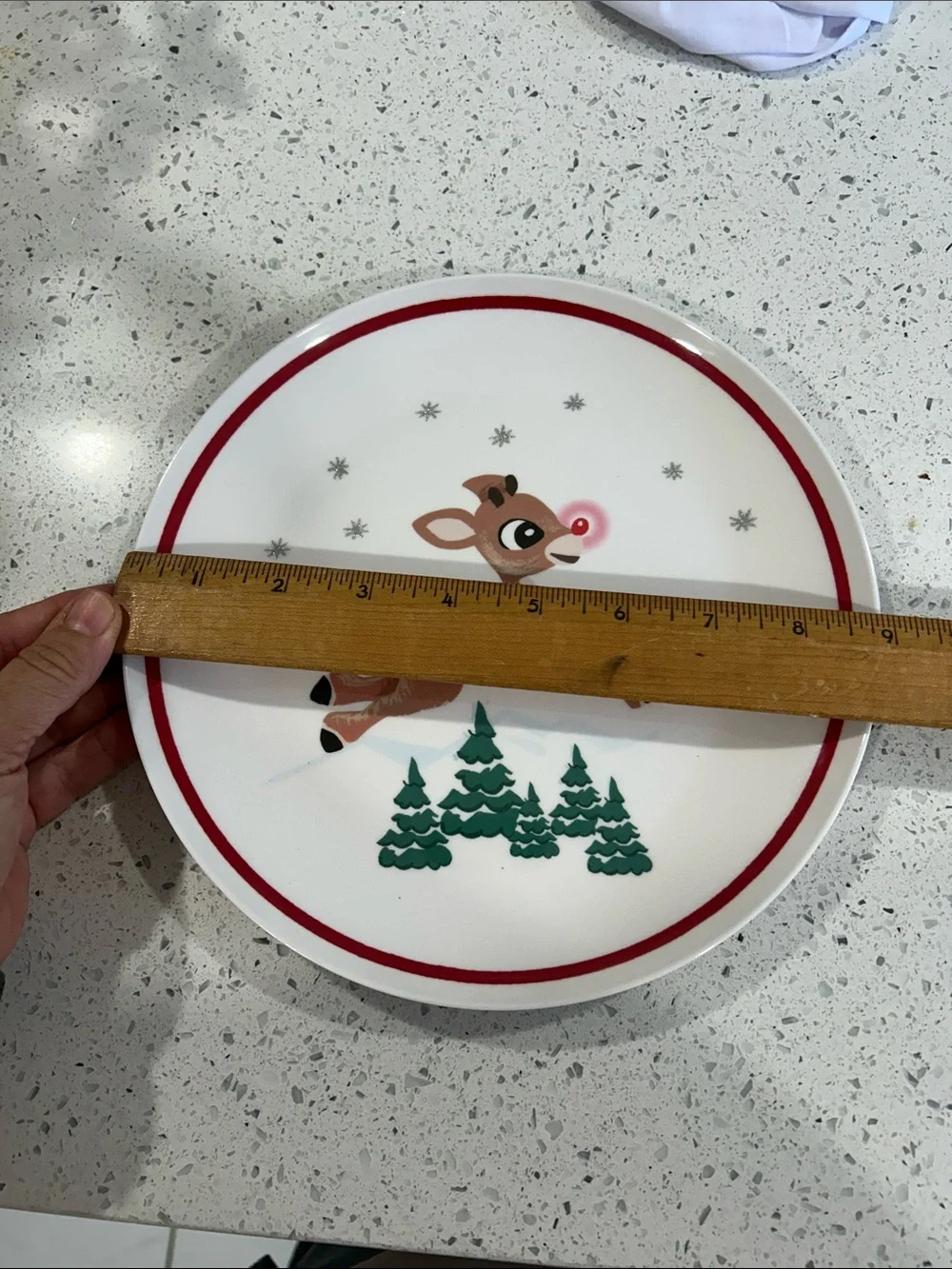 Pottery Barn Kids Rudolph The Red Nosed Reindeer Melamine Plates Set of 2 Two